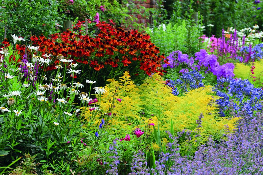 Ge perennerna en bra start