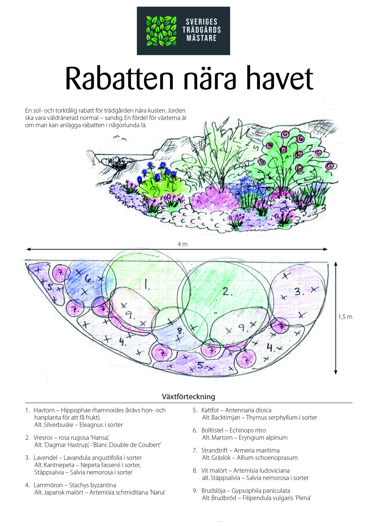 Inverted Rabatten Rabatten nära havet - Sveriges Trädgårdsmästare