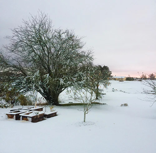 Planera för våren – drömmarnas tid är nu