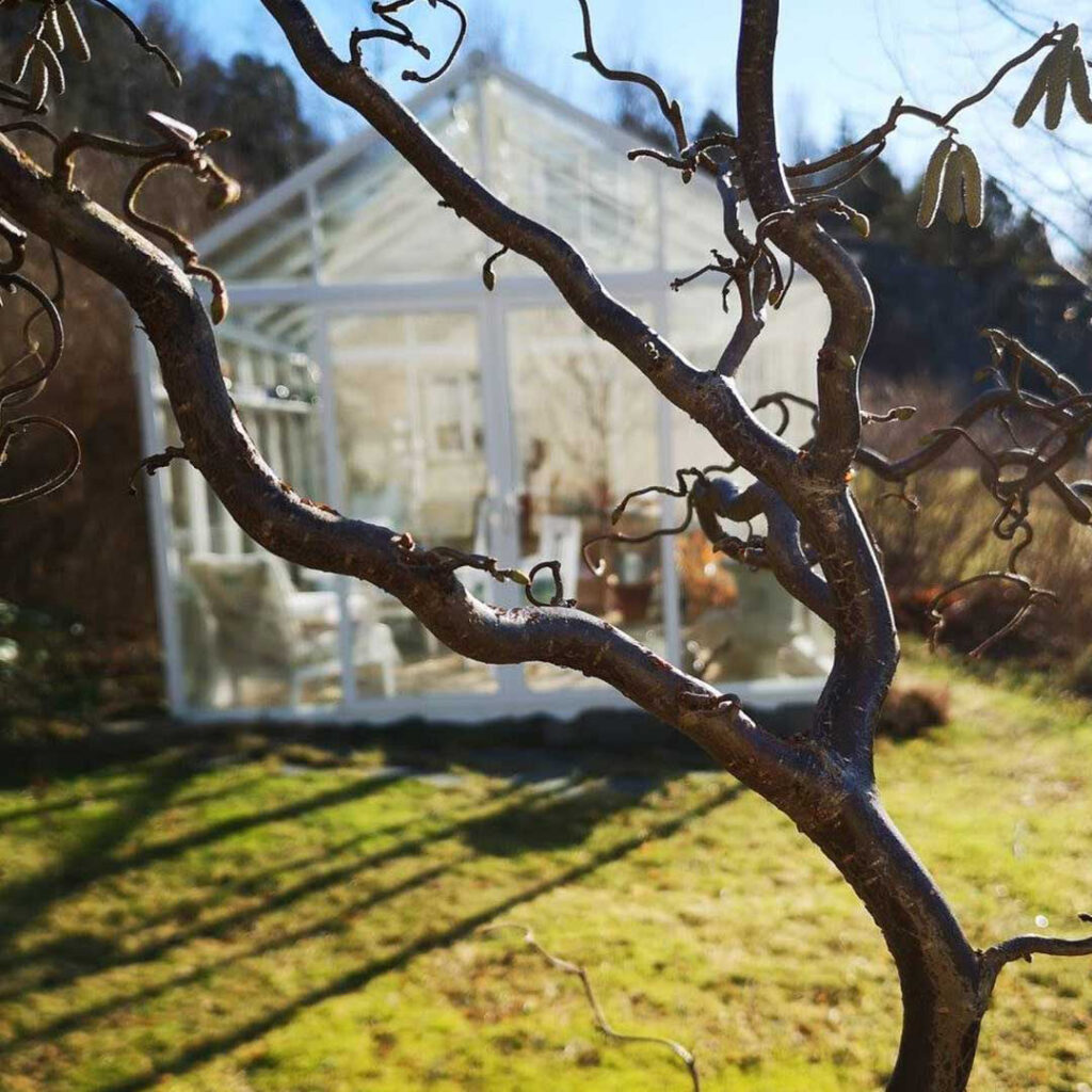 Om du har tid & lust