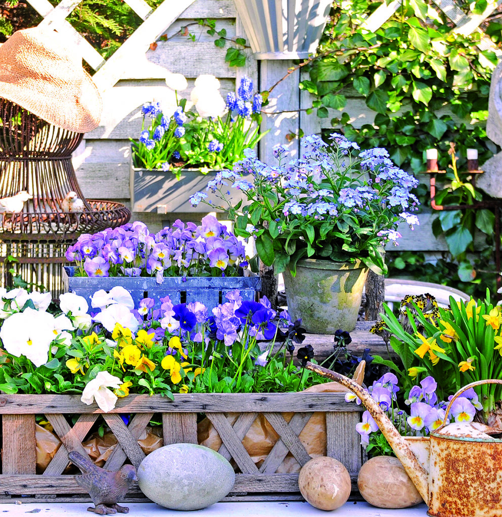 Skapa vårkänsla redan vid entrén!