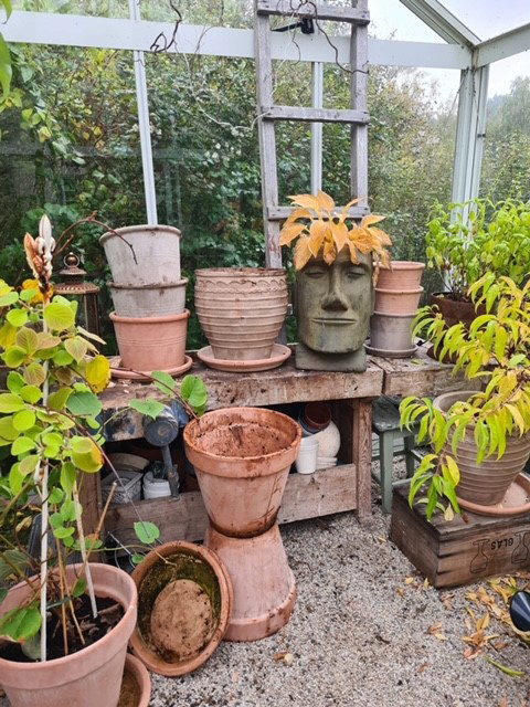 Städa och ta hand om